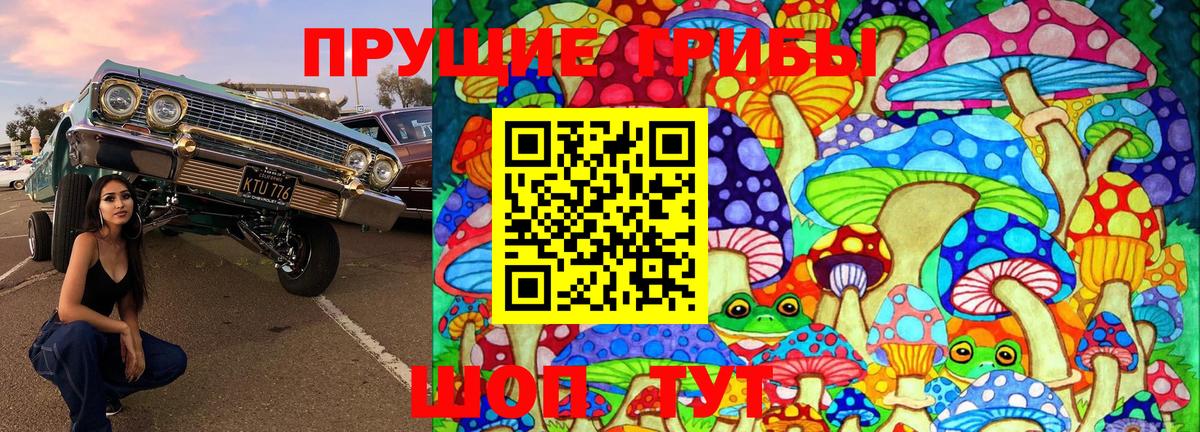 Псилоцибиновые грибы мицелий Долгопрудный