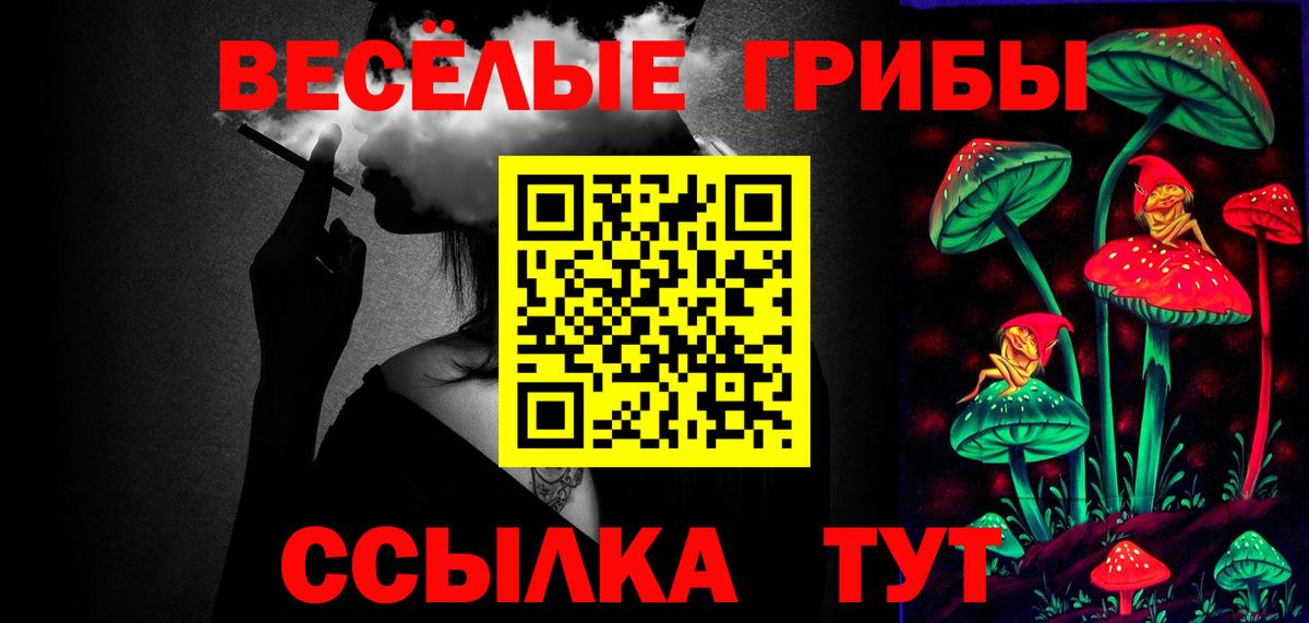 Долгопрудный  Псилоцибиновые грибы MAGIC MUSHROOMS  Галлюциногенные грибы мухоморы  Вход с VPN 